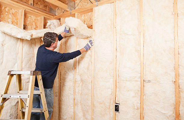 Trusted Sesser, IL Insulation Removal & Installation Experts